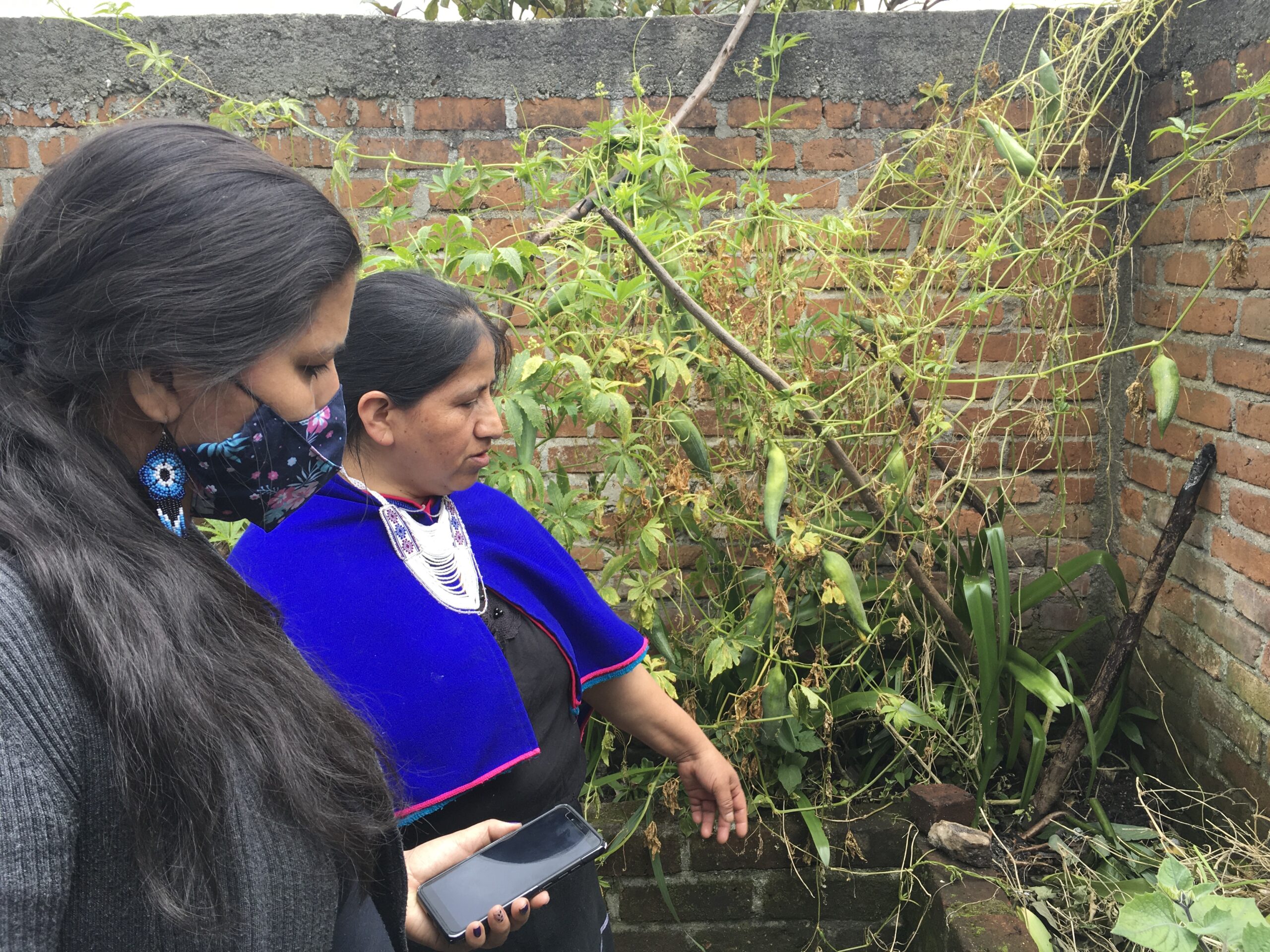 Fellow Johana Fernanda Sánchez Jaramillo, left, is shown reporting in Silvia (Cauca).